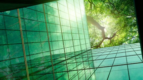 Trees are reflected on the glass panes of an office building looking toward the sky